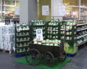 Bollerwagen